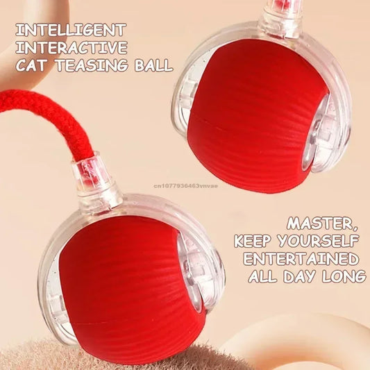 Cat Toys Interactive Ball Cat Accessories Interactive Cat Ball Kitten